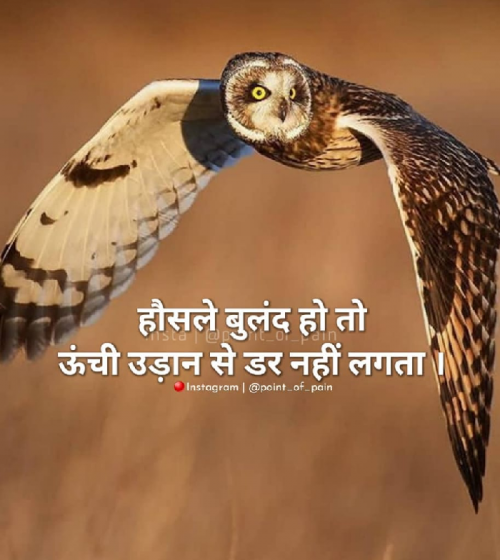 Post by Rahil Khan on 28-May-2019 05:17am