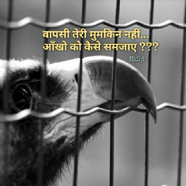 Gujarati Blog by Nidhi_Nanhi_Kalam_ : 111181525