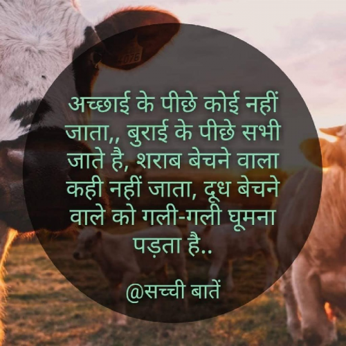 Post by Rahil Khan on 29-May-2019 06:27am