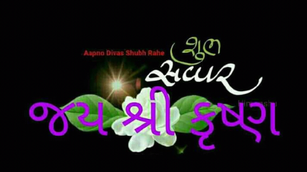 Gujarati Whatsapp-Status by Patel Pradip : 111182358