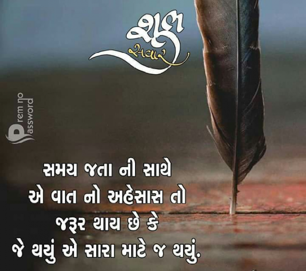 Gujarati Whatsapp-Status by Naksh Parmar : 111182816