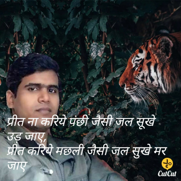 Hindi Quotes by Ranjan Rajbhar : 111182877