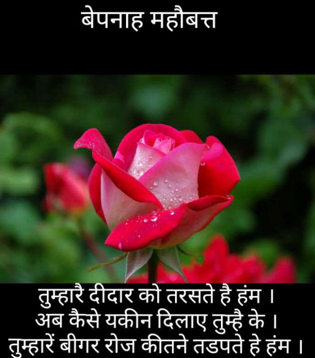Gujarati Good Evening by Narendra Parmar : 111182960