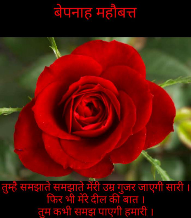 Gujarati Blog by Narendra Parmar : 111183002