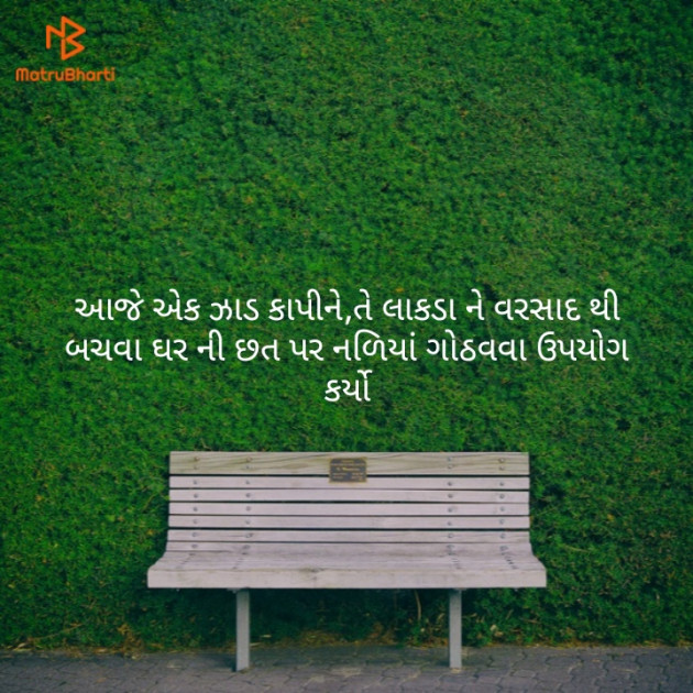 Gujarati Thought by Parmar Mayur : 111183024