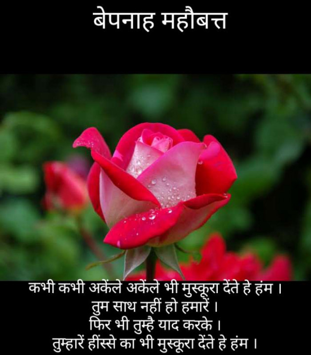 Gujarati Blog by Narendra Parmar : 111183049
