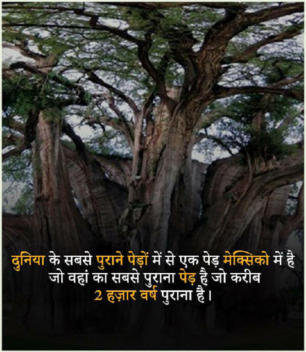 Hindi Motivational by Lakshman Kumar : 111183145