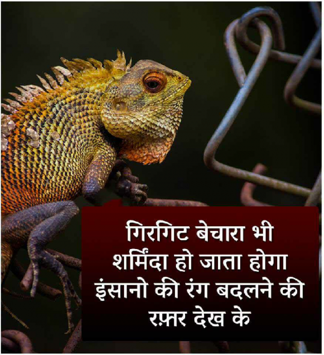 Hindi Thought by Lakshman Kumar : 111183168