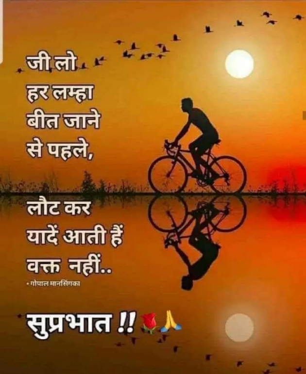 English Quotes by Bhanderi Paresh : 111183490