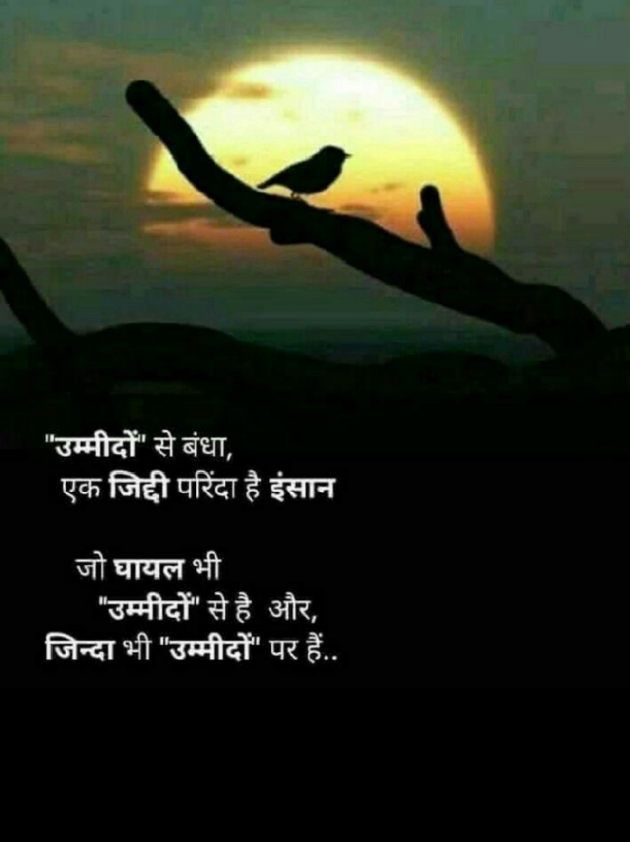 English Thought by BHAVIN TRIVEDI : 111183570