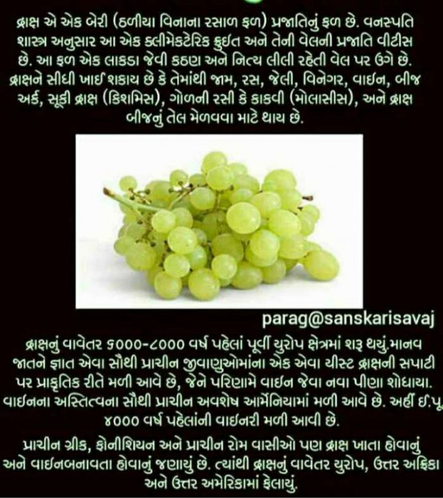 Gujarati Blog by Umesh Donga : 111183632