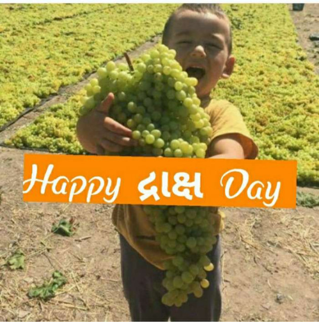Gujarati Blog by Umesh Donga : 111183634