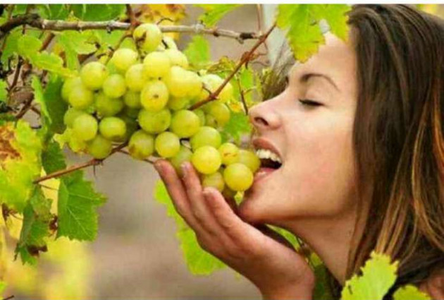 Gujarati Blog by Umesh Donga : 111183637