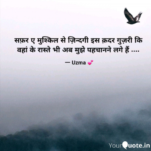 Post by Uzma on 30-May-2019 05:24pm