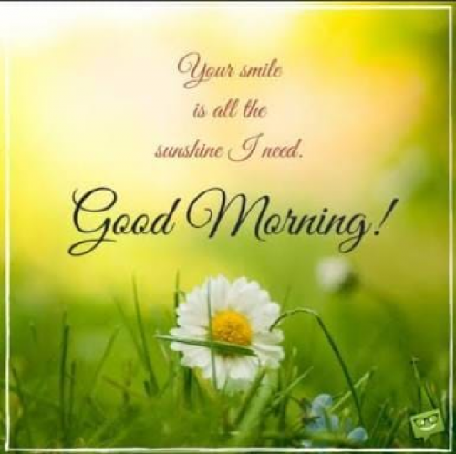 Post by Sanjay Kumar on 31-May-2019 05:53am