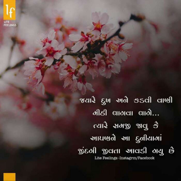 Gujarati Blog by Kavita Gandhi : 111184261
