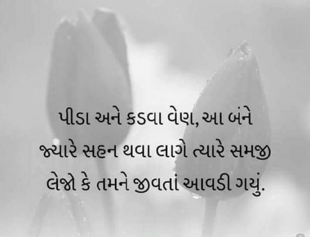 Gujarati Blog by Kavita Gandhi : 111184766