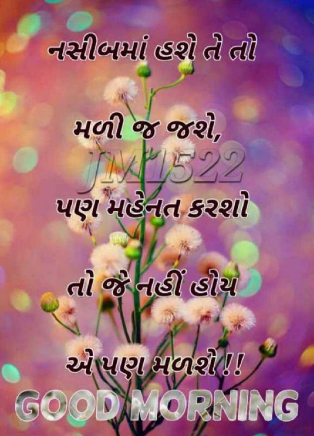 Gujarati Thought by Jimmy Bhagora : 111185131