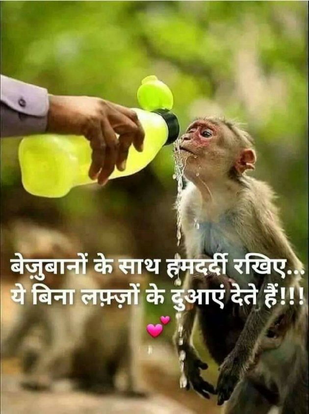 English Quotes by Pravin Parmar : 111185282