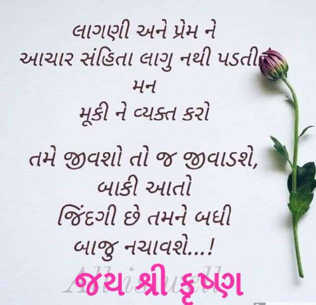 English Quotes by Bhanderi Paresh : 111185284