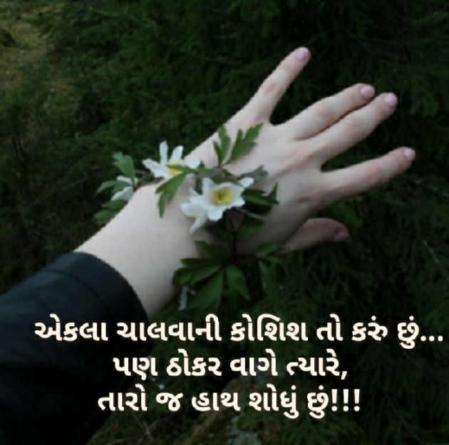 Gujarati Blog by Nidhi_Nanhi_Kalam_ : 111185385