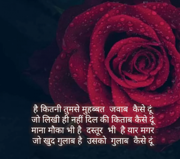 Gujarati Blog by Anil Ramavat : 111185651
