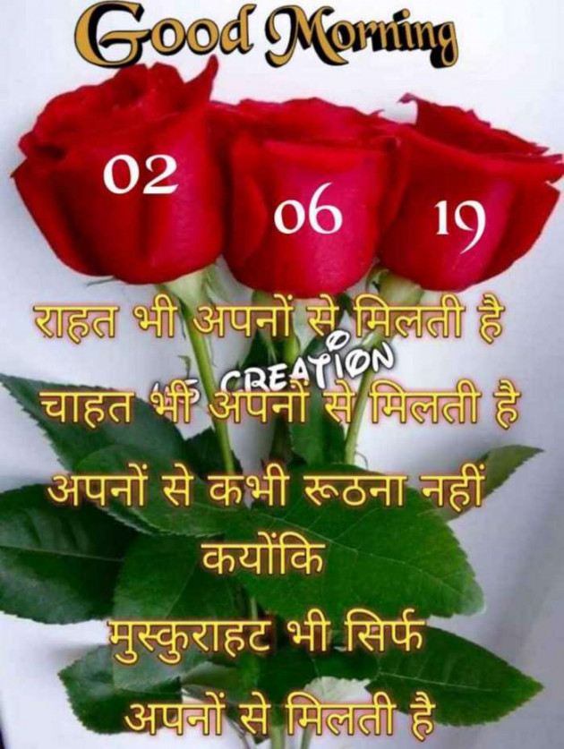 Gujarati Good Morning by Mehul Kumar : 111185692