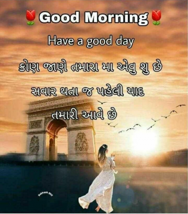 English Quotes by Bhanderi Paresh : 111185776