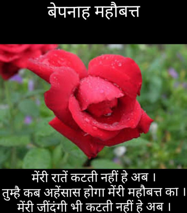 Gujarati Blog by Narendra Parmar : 111186407