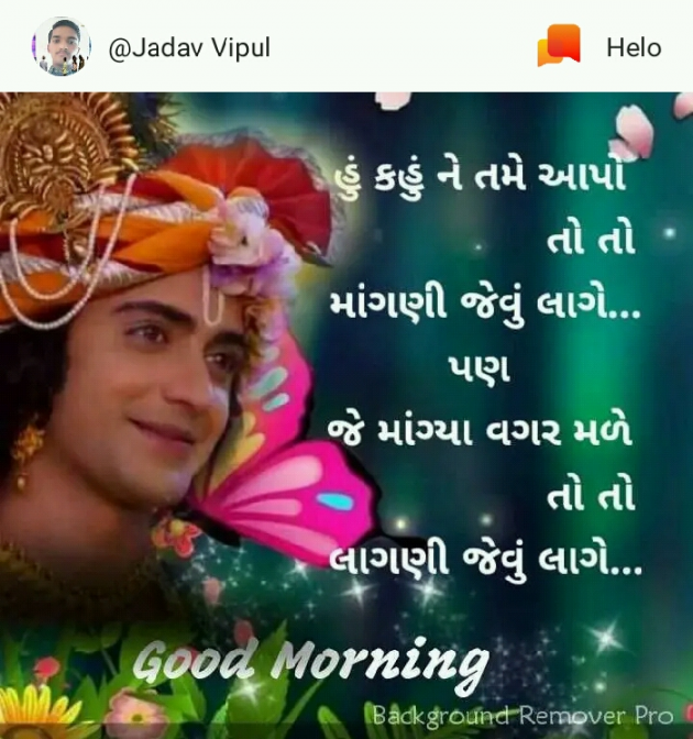 Gujarati Good Morning by Nilay : 111186497
