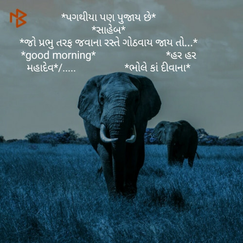 Post by Savani Umesh on 03-Jun-2019 08:03am