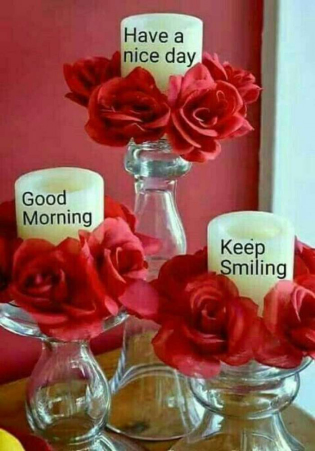 Gujarati Good Morning by Sanjay Joshi : 111186658