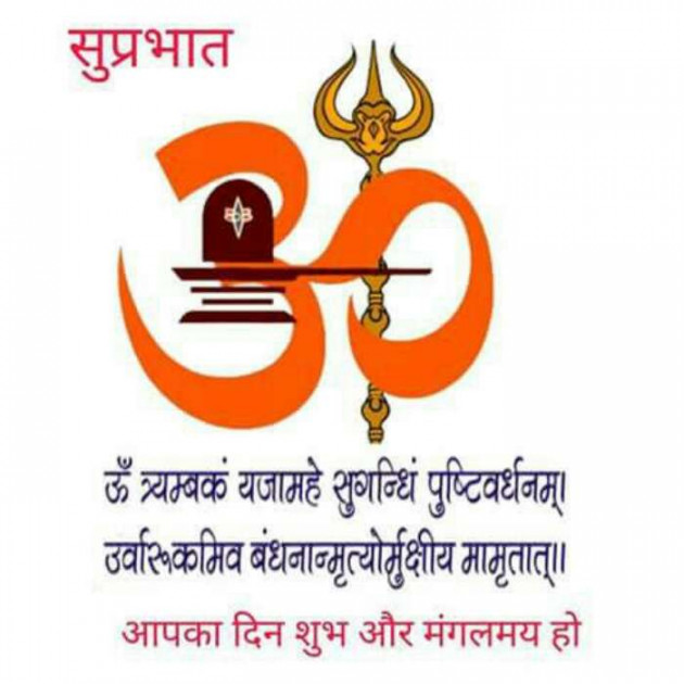 Gujarati Religious by Jainish Dudhat JD : 111186672