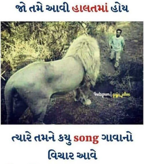 Post by Amit Prajapati on 03-Jun-2019 01:21pm