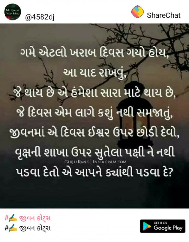 Gujarati Thought by Dulera Neha : 111187200