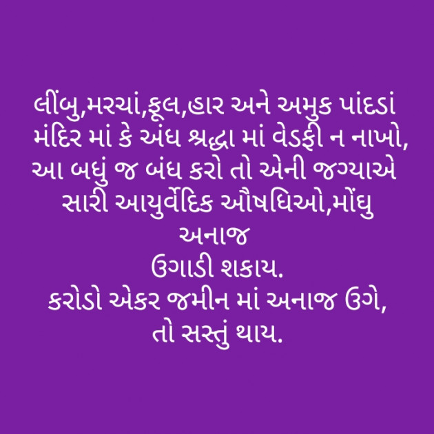 Gujarati Questions by Dipesh Bheda : 111187341