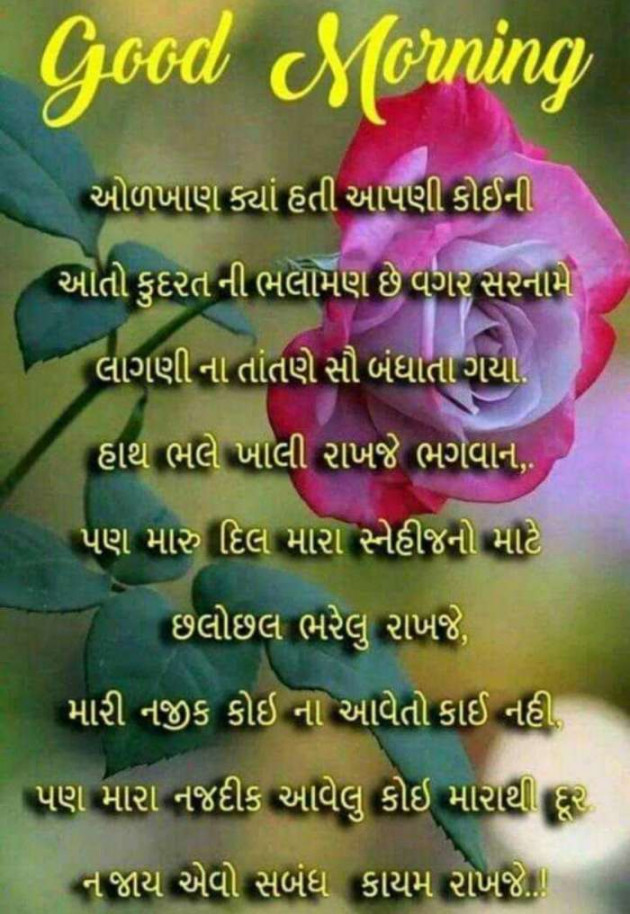 Gujarati Good Morning by Mehul Kumar : 111187414