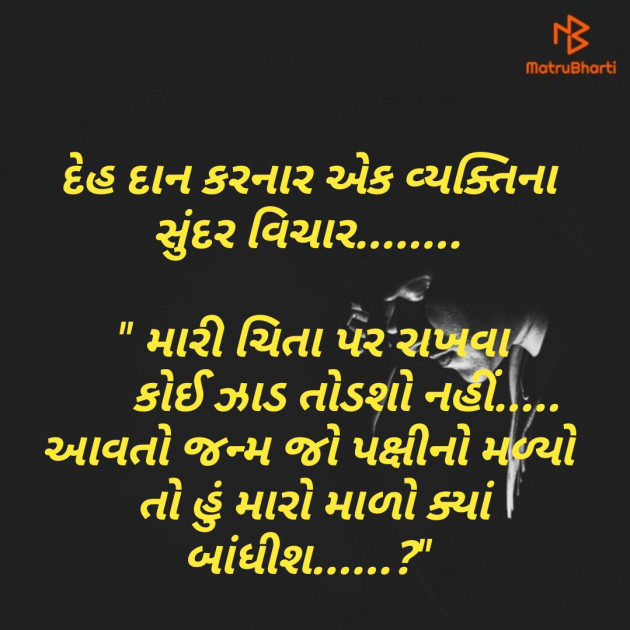 Gujarati Good Morning by Shailesh jivani : 111187534