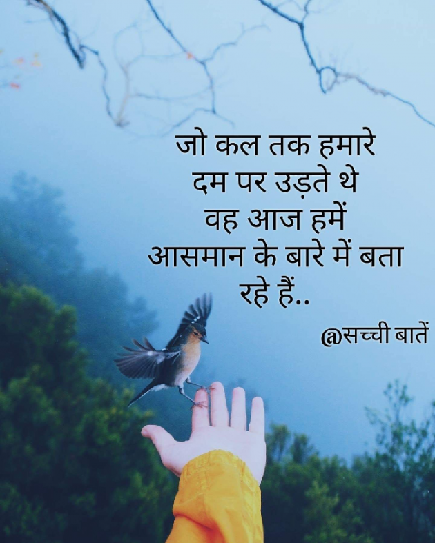 Gujarati Blog by Maulik Rajput : 111187743