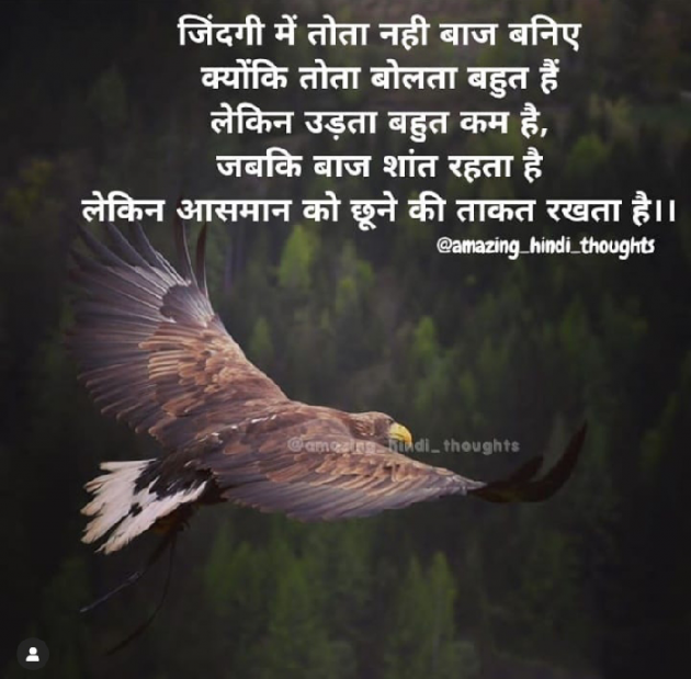 English Thought by Reena Dhamecha : 111187816