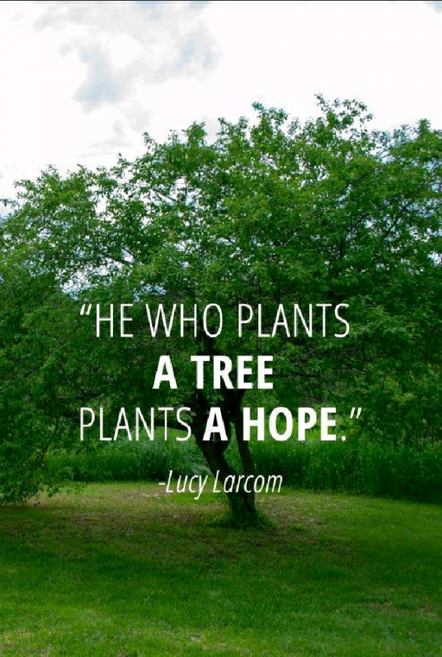 English Quotes by S Kumar : 111188478