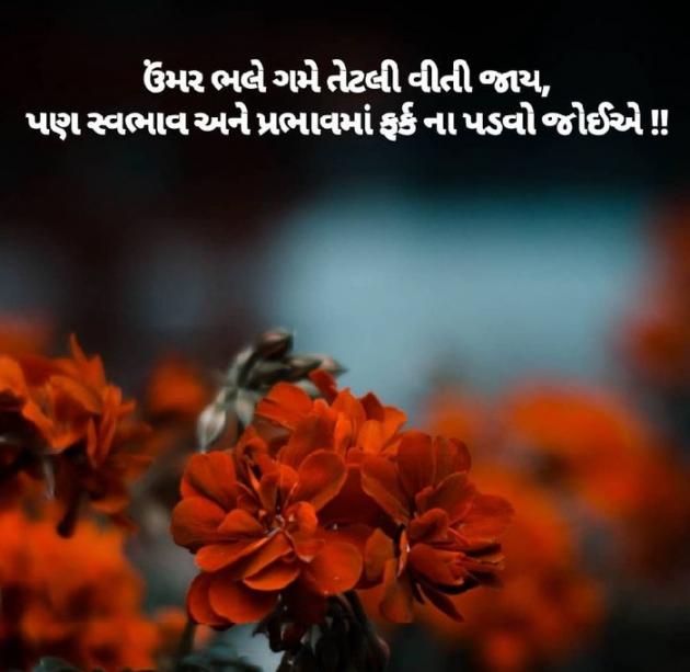 Gujarati Quotes by sureel panchal : 111188534