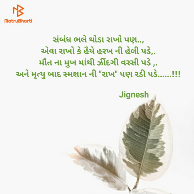 English Shayri by Jignesh Vsv : 111188627