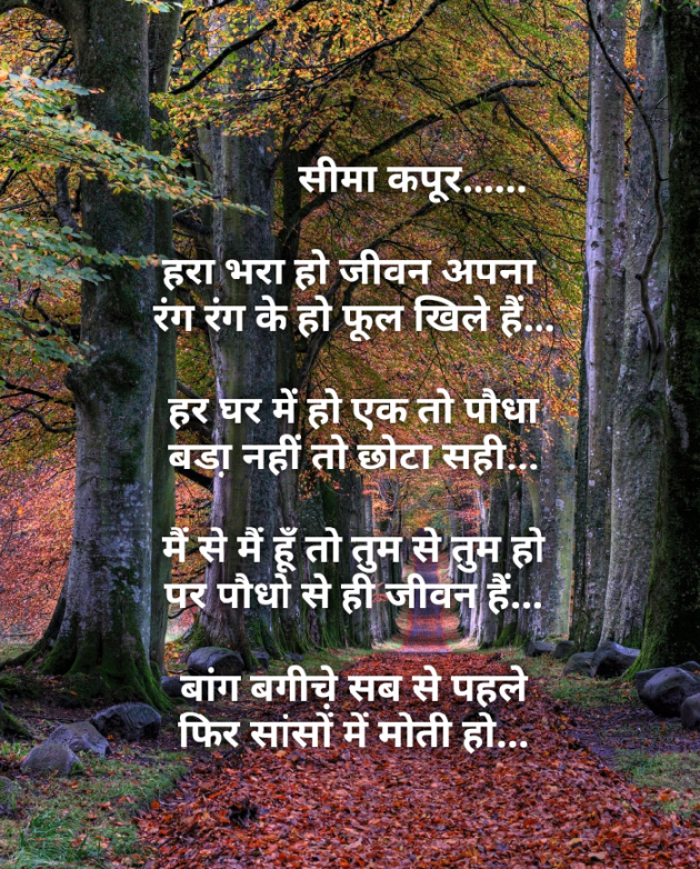 Hindi Poem by सीमा कपूर : 111188853