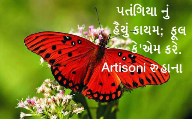 Gujarati Hiku by Artisoni : 111188865