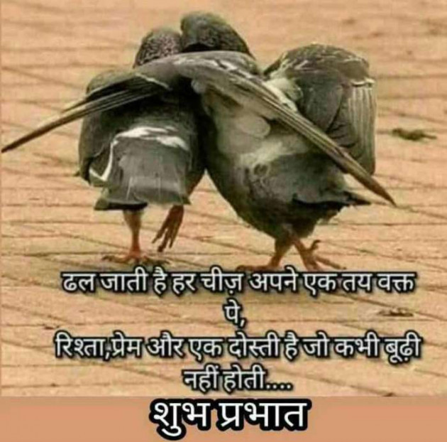 Gujarati Good Morning by Mehul Kumar : 111189096