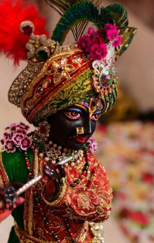 Post by Shriyansh Soni on 06-Jun-2019 07:10am