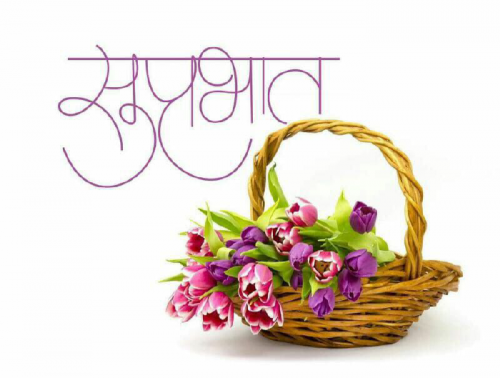 Post by Shivman Verma on 06-Jun-2019 07:56am