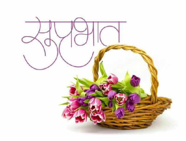 Hindi Quotes by Shivman Verma : 111189169