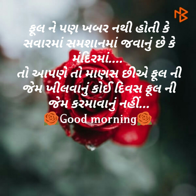 Gujarati Good Morning by Virat : 111189274